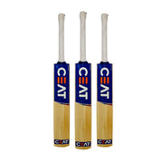 CEAT Prolific Edition Kashmir Willow Cricket Bat