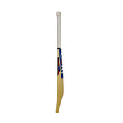 CEAT Prolific Edition Kashmir Willow Cricket Bat
