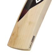 SG Century Classic English Willow Cricket Bat