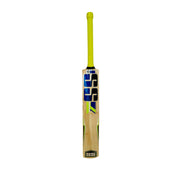 SS Super Power Kashmir Willow Bat