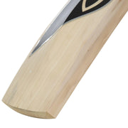 SG Sunny Tonny Icon Black English Willow Cricket Bat