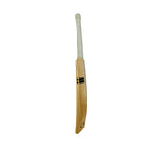 Gortonshir Focus Kashmir Willow Bat