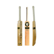 Gortonshir Focus Kashmir Willow Bat