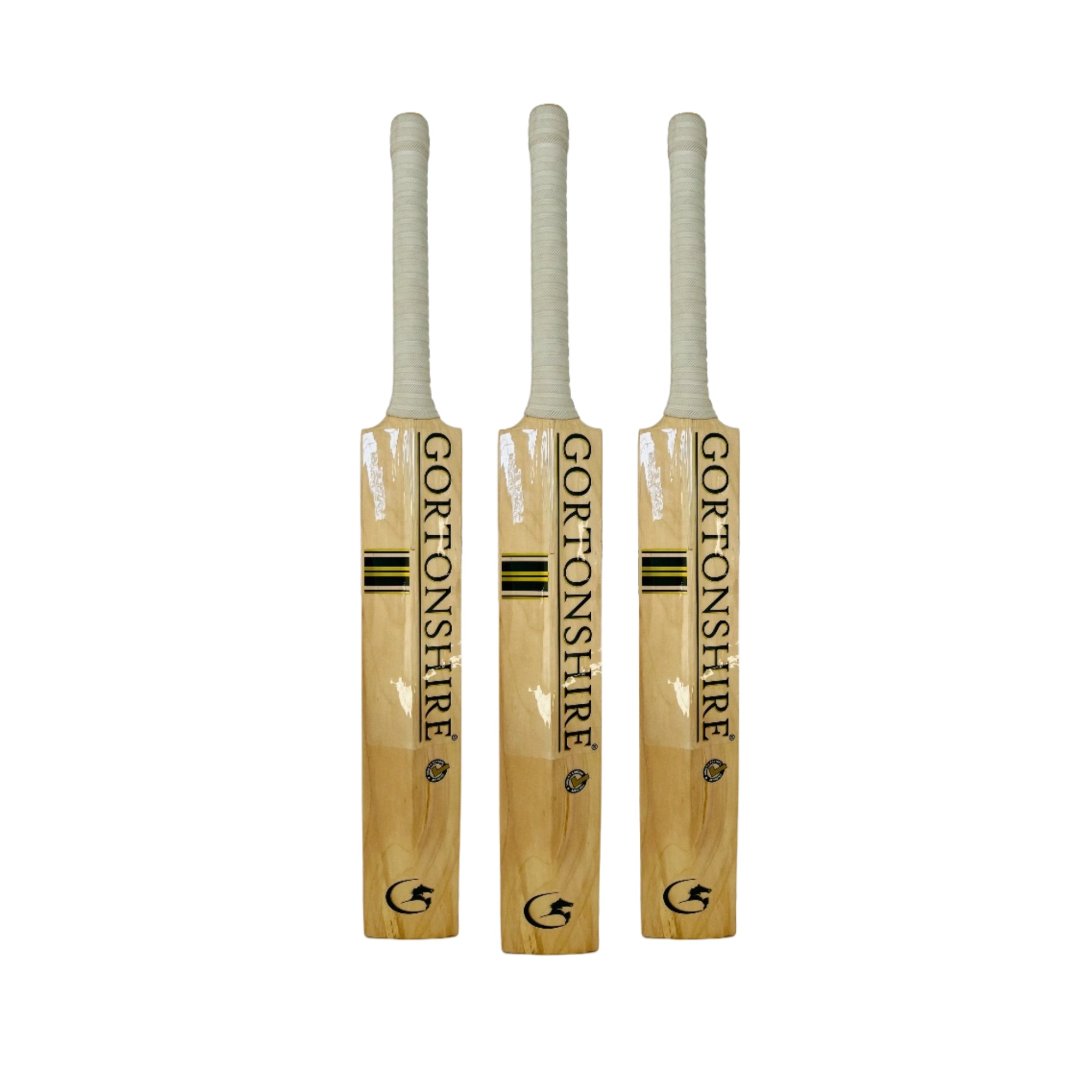 Gortonshir Focus Kashmir Willow Bat