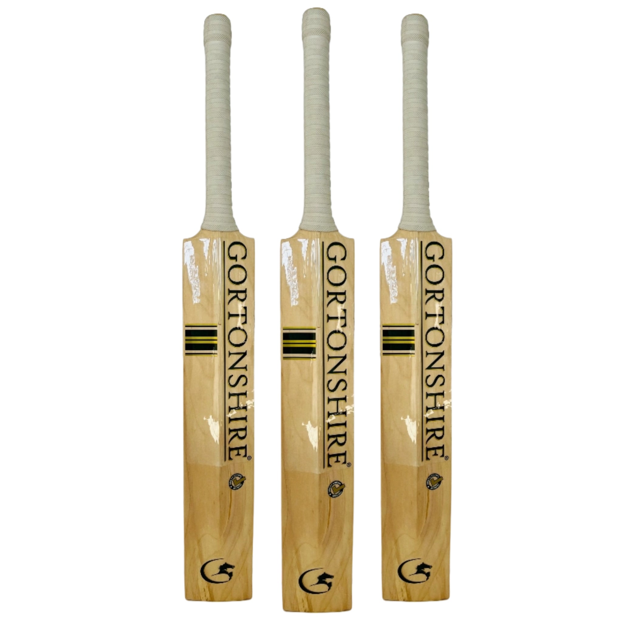 Gortonshir Focus Kashmir Willow Bat