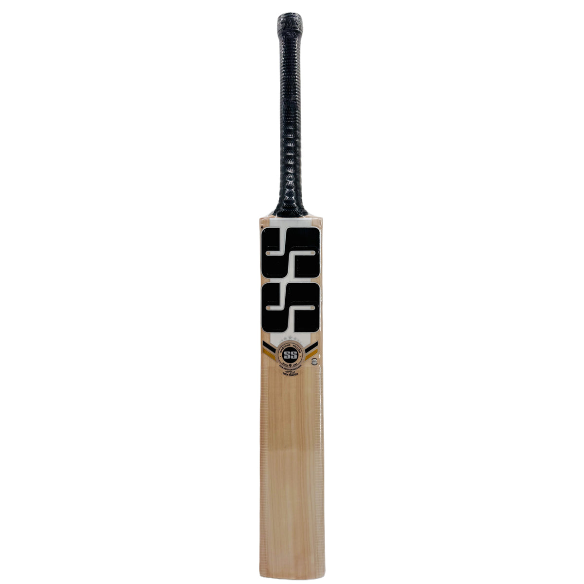 A Tim David SS PLAYERS Kashmir Willow Cricket Bat – GA Sports
