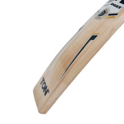 A Tim David SS PLAYERS Kashmir Willow Cricket Bat