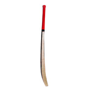 CA 17 PRO Srilankan Coconut Bat