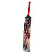 CA 17 PRO Srilankan Coconut Bat